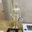 구명한의원 | 부산 당감동 구명한의원 후기