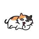 모여봐요 고양이 카페 이미지