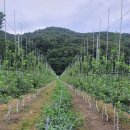 예인농장 이미지