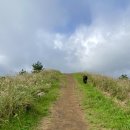 대천환승정류장 | 제주 가을 뚜벅이 여행코스 용눈이 다랑쉬오름