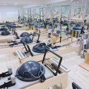 테라피 요가 & 매트 필라테스 이미지