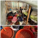 김장하는날 | 할머니 댁 김장 후기 김장하는 날