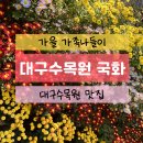 국화동성 | 대구수목원｜가족 나들이｜대구수목원 맛집｜국화