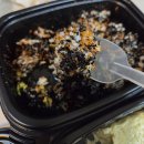 경기도청 | 광교 곱창 맛집 전설의곱창 숯불곱창볶음 광교경기도청점 포장 후기