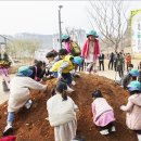 솔빛숲유치원 이미지