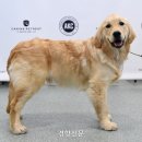 킁킁