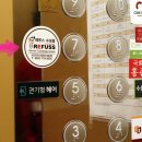 레푸스수성점 이미지