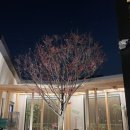 온담 베이커리