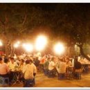 유명갈매기 이미지