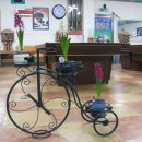 SBS당구클럽 이미지