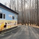 도리내마을 이미지