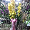 경원여객 노동조합 이미지