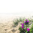 바다노을 - 남해군 남면로 1156-12 | 바다노을