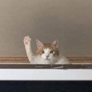 워시엠셀프세차 이미지