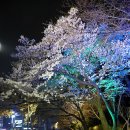 용지호수 이미지