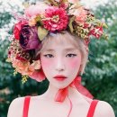 이미지 카카오 검색결과