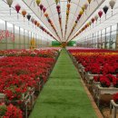 차진열농장 이미지