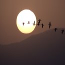 달맞이봉(공원) 이미지