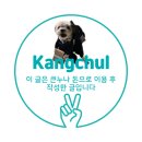 솔샘펫 | 청송 소노벨 뽀개기 반려동물 반려견 애견 동반 후기 내돈내산 청송숙소 추천 ATM 정보 체크인 청송여행...