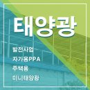 다산애차