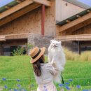 스테이더담 구미선산점 이미지