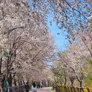 우두동 자전거도로 이미지