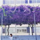 평리6동 행정복지센터 이미지