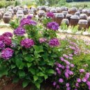 소박한밥상 이미지