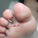 레푸스 감삼점&에이레네 이미지