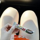 (주)캘리스코논공(대구) 휴게소 | [경남 하동] 계곡🌊찾아 떠난 🦭하동!! 1박 2일 여행후기 1탄 (송림제원, 하동 스타웨이, 매암제다원...