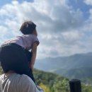 가평사랑나무펜션 | 네이처하이크 에어텐트 12.0 캠핑 9회 사용후기