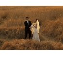 아름다운웨딩홀부산면관 | 부산 미우스튜디오 웨딩촬영 다이렉트결혼준비 내돈내산 계약 후기