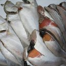 자미매운탕 이미지