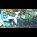 성실카랜드 이미지