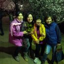 양지식당 이미지