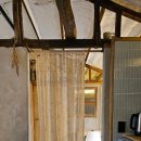 서쪽에서(귤이네) 이미지