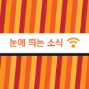 죽전(竹田) 대나무꽃 만발 스토리 | 8월 31일_ 눈에 띄는 소식