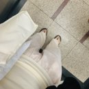 🐀 제 소원은 모든 동물들이 안전하게 사는거예요 🙏 - 영화 <생츄어리 : 마법의 소원나무> 시사회 후기