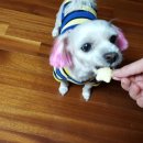 도기살롱 이미지