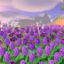 자연설렘 이미지