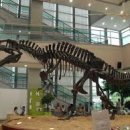 공룡박물관 이미지