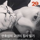 ＜코스모폴리탄＞ 안효섭의 고양이 집사 일기 이미지