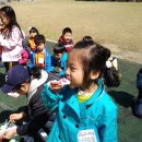 쌍봉초교병설유치원 이미지