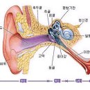 조은소리보청기서울지사