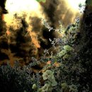 ma boo (마부) 이미지