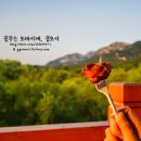 덕선재
