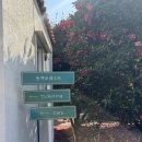 남원읍-65 | [제주 동백포레스트 방문 후기] 할인 및 실시간 개화 정보 그리고 포토존 정리