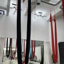 티나에어리얼스쿨 | 티나에어리얼스쿨 플라잉요가 뱅뱅사거리 강남