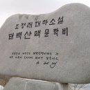 벌교우리약국 이미지