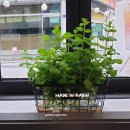 크린토피아방학더브러마트점 | 울동네에 팔공티 80티 8공티, 가성비 깡패!!. 안성 중앙대점 오픈하는날 후기